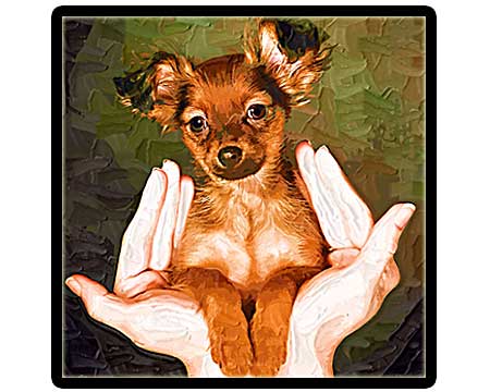 Hand Painted Puppy Portrait
