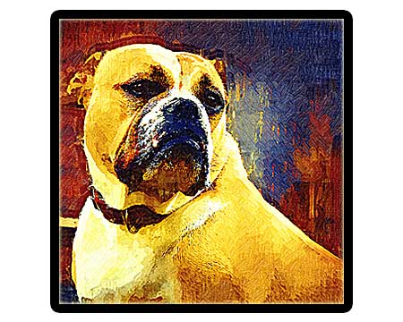 Custom pet portrait on canvas painting