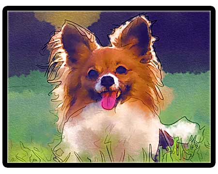 Watercolor painting of your pet portraits