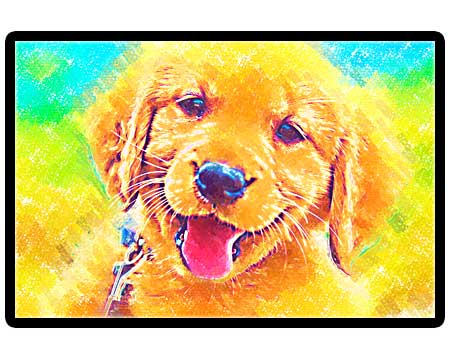 Portrait of dog in pastel from custom photo