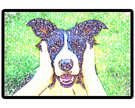 Personalized portraiture for pets lovers