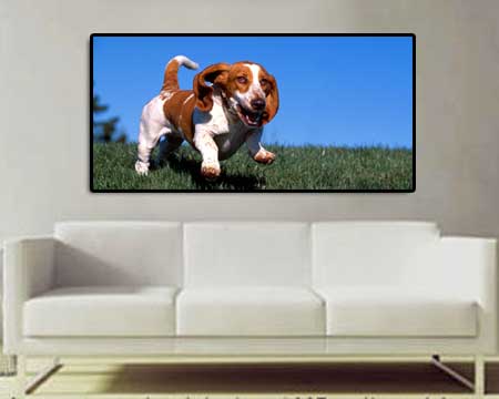 Cheap Panoramic canvas and framed wall art pet poster prints