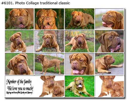 Pet Photo Collage Samples page-1-04