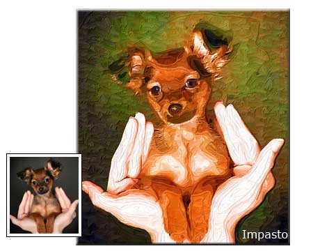 Impasto Oil painting Pet Portrait