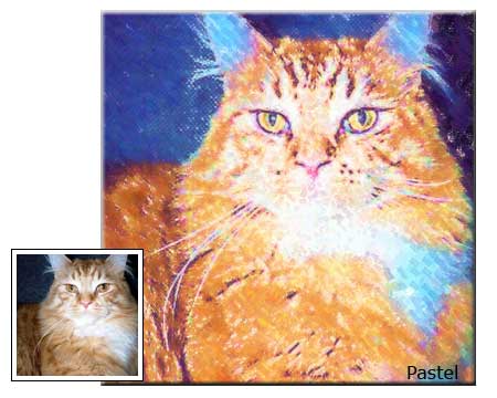 Pet Portrait Samples page-5-02