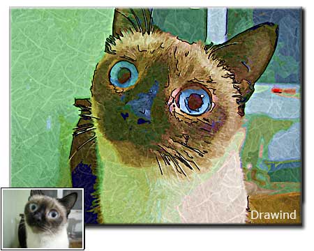 Pet Portrait Samples page-2-02