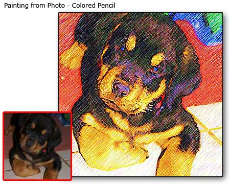 Pet Portrait Samples page-2-10