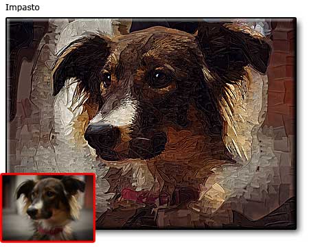 Pet Portrait Samples page-3-07