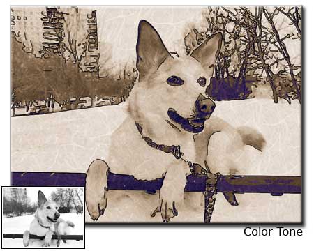 Pet Portrait Samples page-4-09
