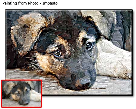 Pet Portrait Samples page-5-03