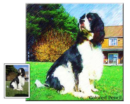 Pet Portrait Samples page-5-05
