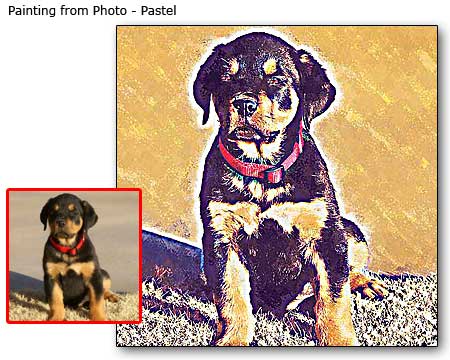 Pet Portrait Samples page-5-12