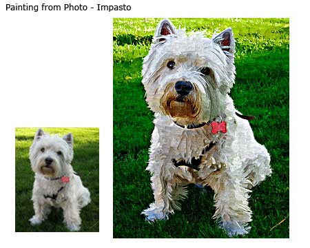 Pet Portrait Samples page-5-13