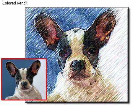 Pet Portrait Samples page-4-05