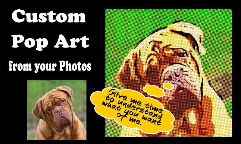 Pet pictures in the style of graffiti