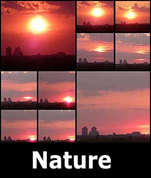 Nature Landscape Photo Collage