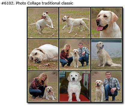 Pet collage traditional classic