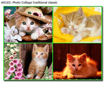 Cats Photo Collage