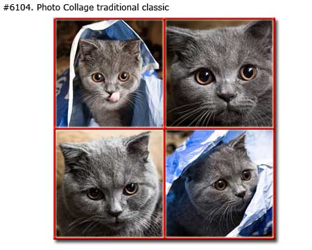 Cat photomontage traditional classic