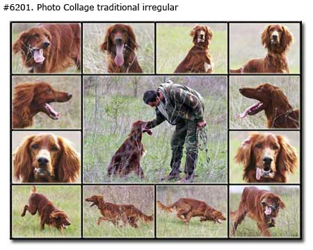 Pet photo collage traditional irregular from 13 dog photos