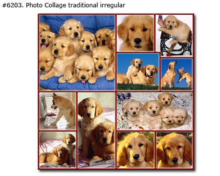 Puppy photo collage traditional irregular
