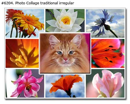 Cat and Flowers Collage