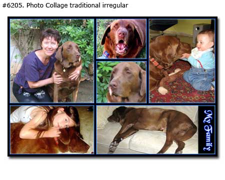 Pet photo collage traditional irregular