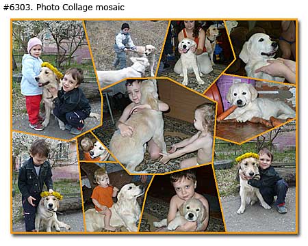 Kids and dog photo collage mosaic