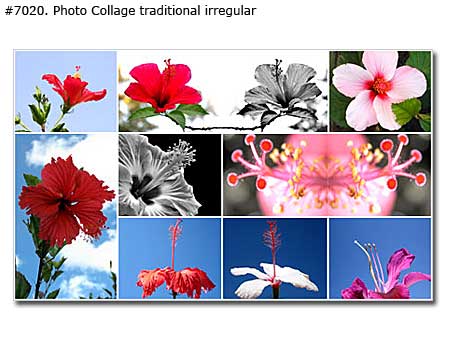 My Favorite Flowers Collage irregular