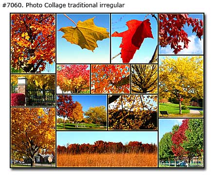 Colorful Fall Leaves Collage traditional