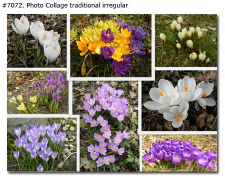 Beautiful Spring Flowers Collage traditional