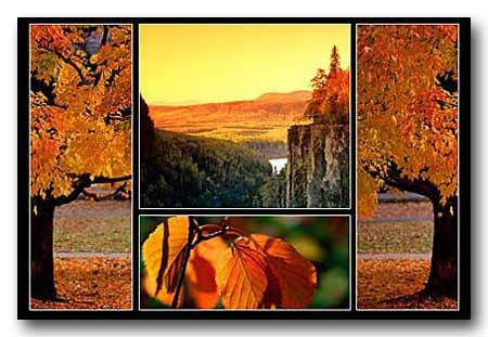 Merge 4 photos into 1 - landscape poster print 4010